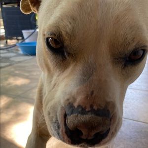 Meet your Posher, Gisselle